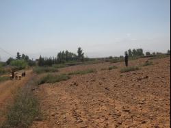Marrakech Building Plot for sale200.000 &euro;