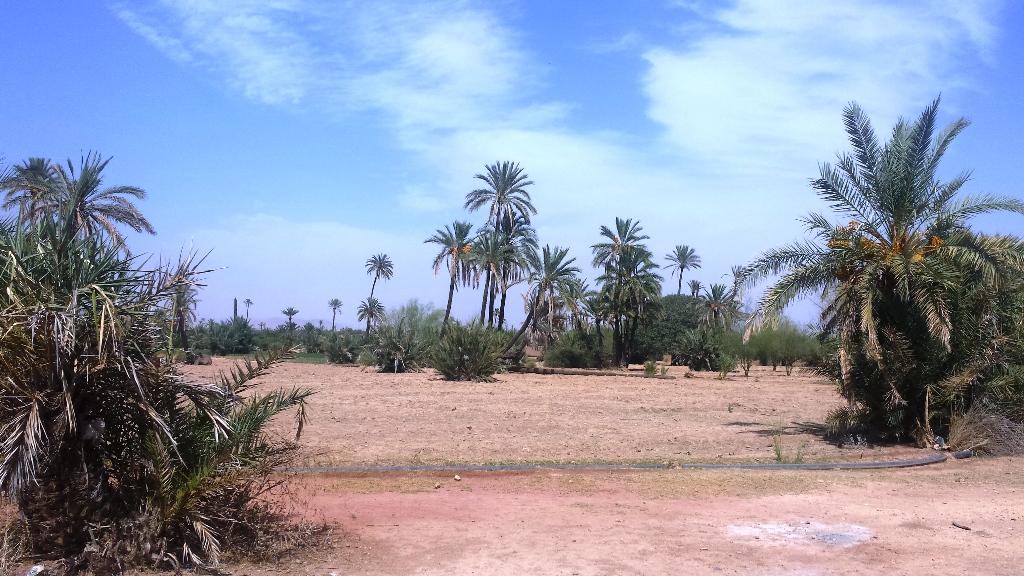 Marrakech - Development Plot for sale in  4 800 000 DH