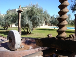 img - Al Haouz Villa - House for sale