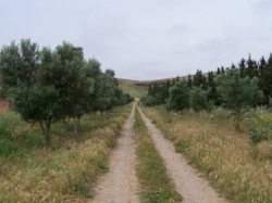 img - Mohammedia Estate - Farm for sale
