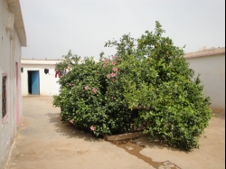 Maison de Campagne en vente en Taroudant 220.000 MAD