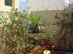 img - Casablanca - Dar el Beida Apartment for sale - Palmiers