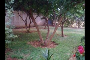 Casa de Campo en venta en mohammedia2300000mohammedia2300000