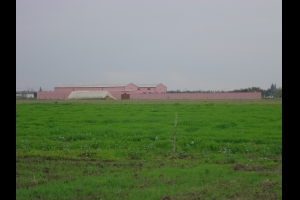 Finca - Cortijo en venta en jenifraPrecio bajo DemandajenifraPrecio bajo Demanda